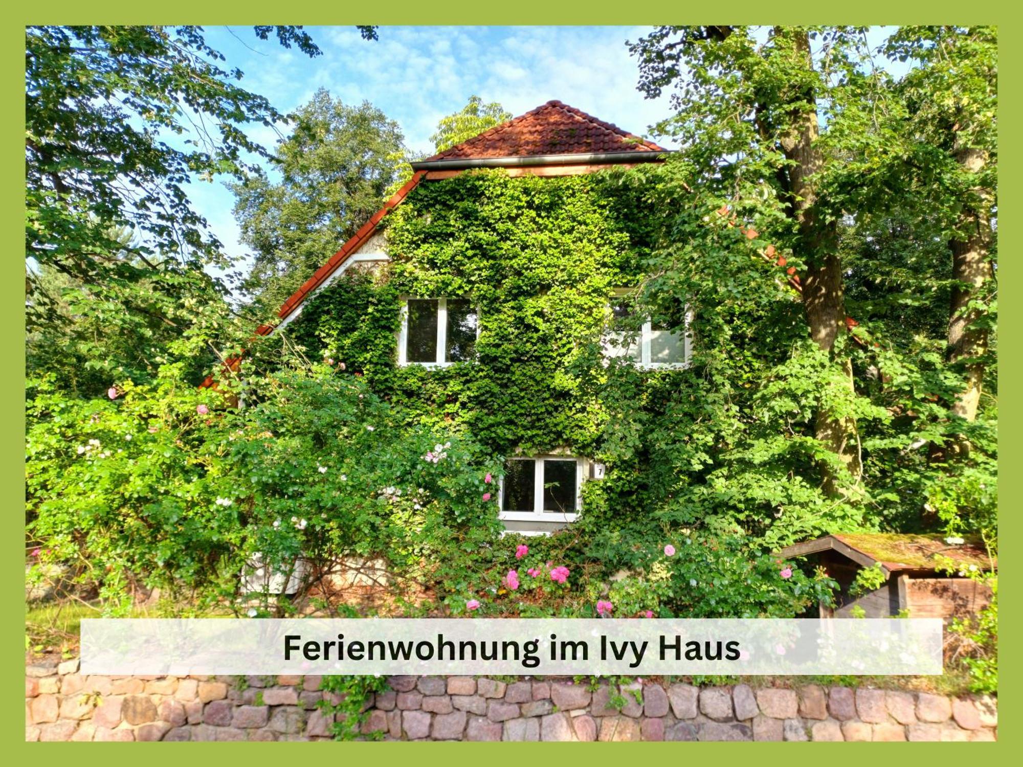 Apartment Ivy Haus *